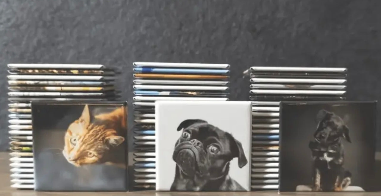 🌟 OFFRE SPECIALE MAGNETS X25 + LIVRAISON OFFERTE !🌟